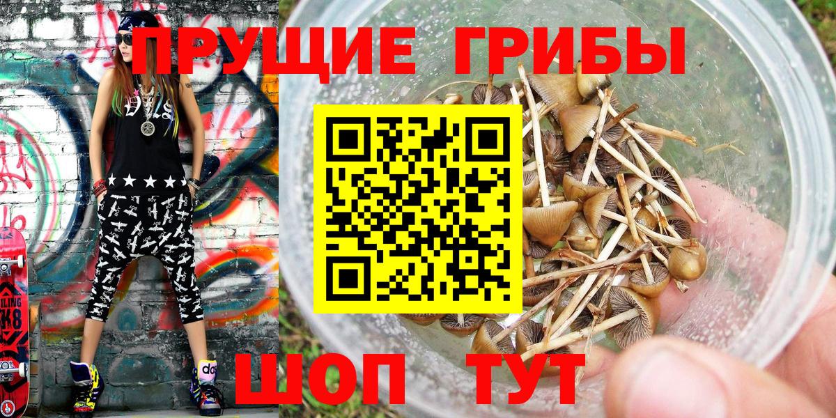 Псилоцибиновые грибы ЛСД Новороссийск