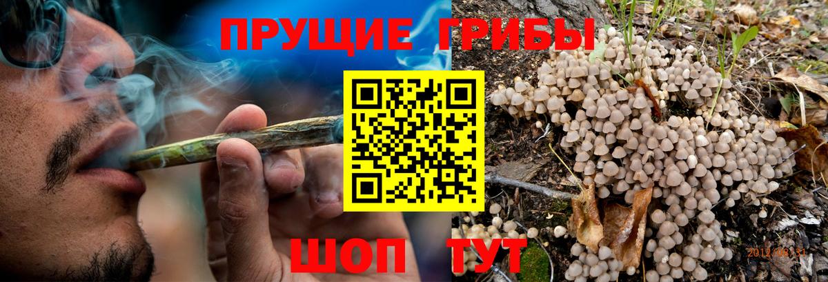 Новороссийск  Галлюциногенные грибы мицелий  Вход с VPN 